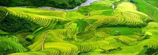 Tour Hà Giang - Hoàng Su Phì - Sín Mần - Thác Tiên 4 ngày 3 đêm giá rẻ (11)